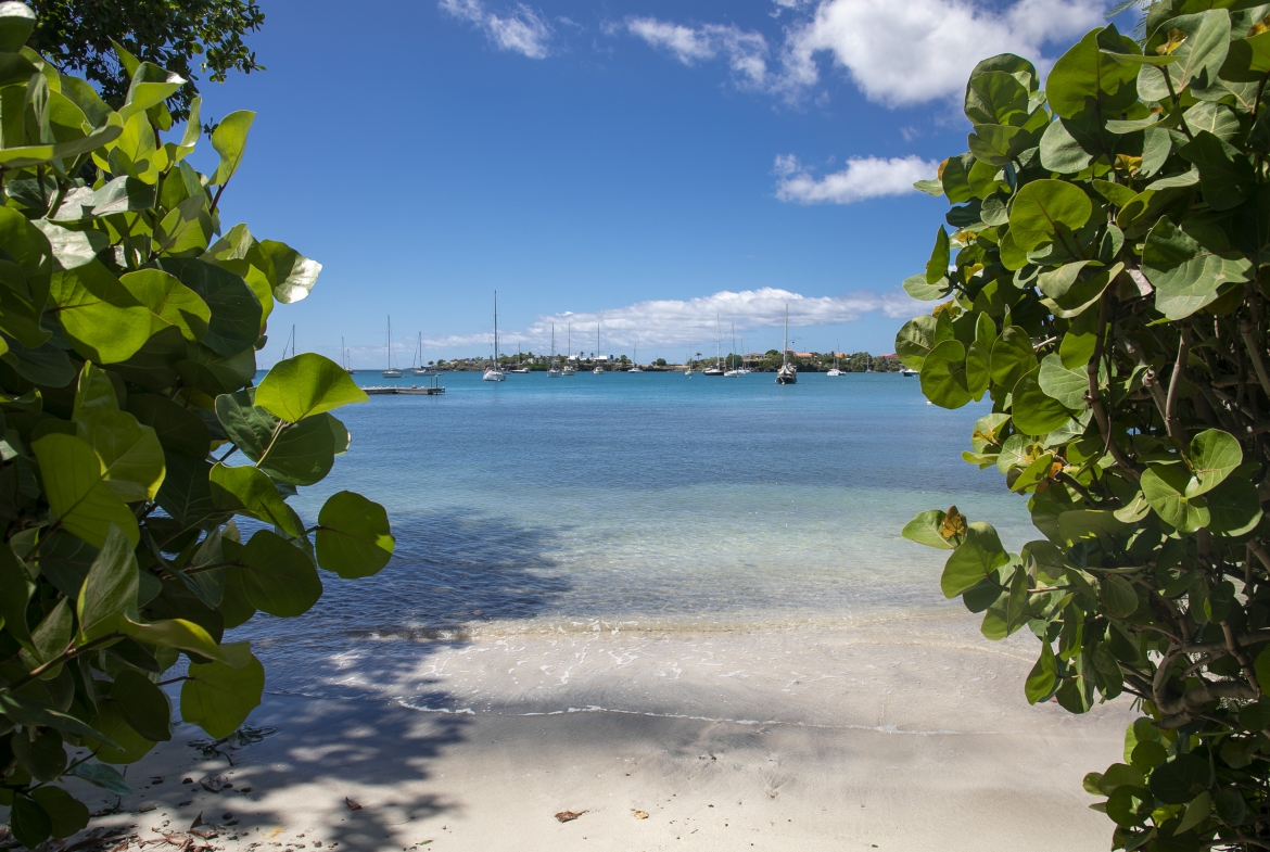 Prickly Bay Waterside Development — photo 8