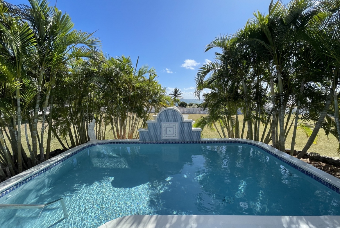 Sun-Filled Villa at Coral Cove — photo 3